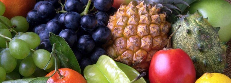 sjeximsolutionsfruits