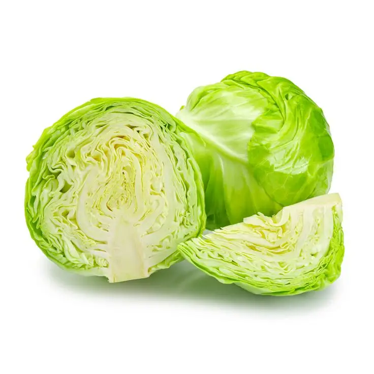 Indian Cabbage Exporter