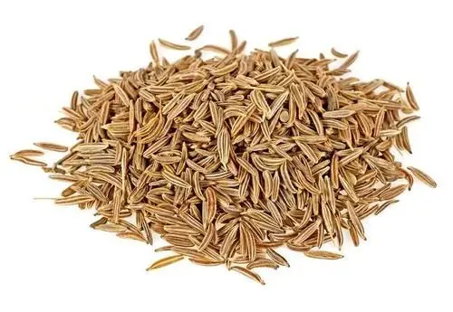 Cumin supplier from india