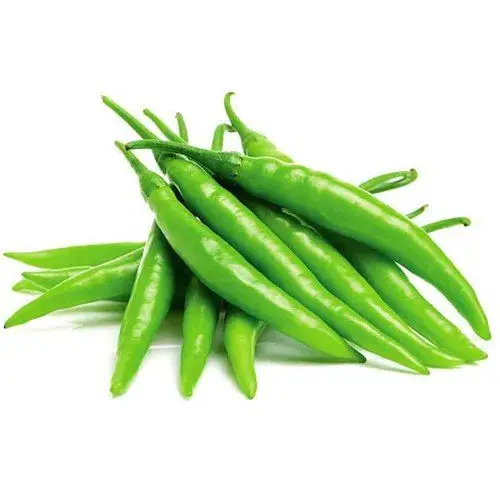 GREEN CHILLI exporter from india