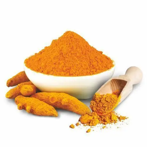 turmeric exporter from india
