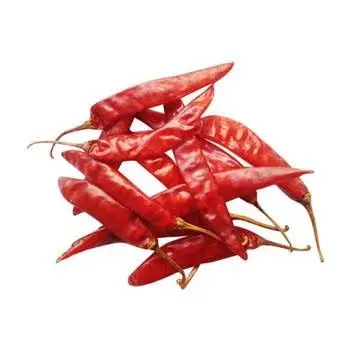 premium spices exporter from india