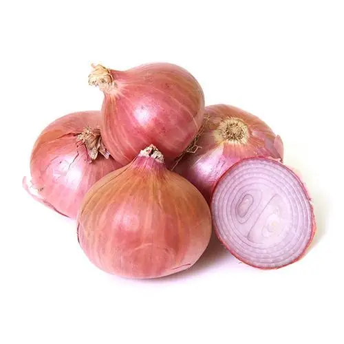 best onion supplier from india