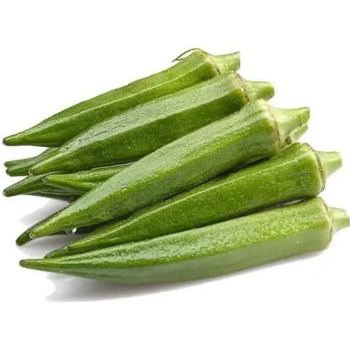 Okra (lady finger) supplier from india