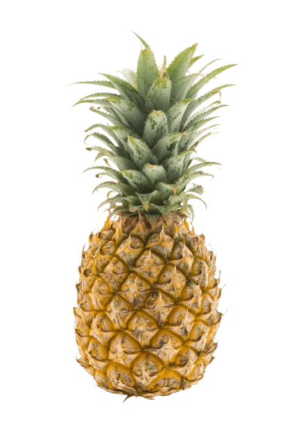 Fresh fruits supplier