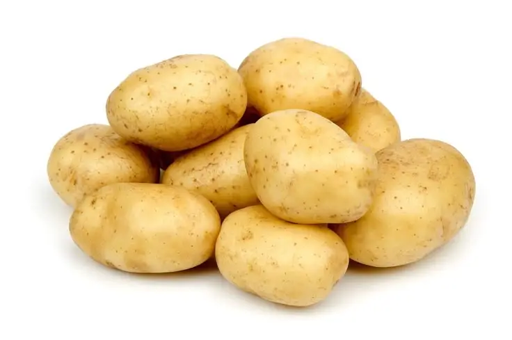 potato exporter from india