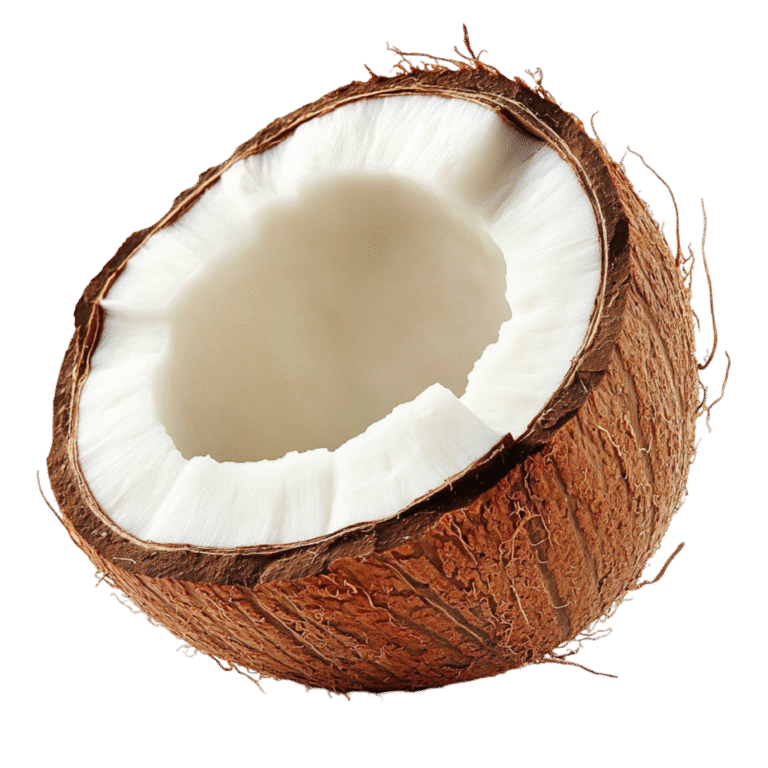 coconut by Sj exim solutions