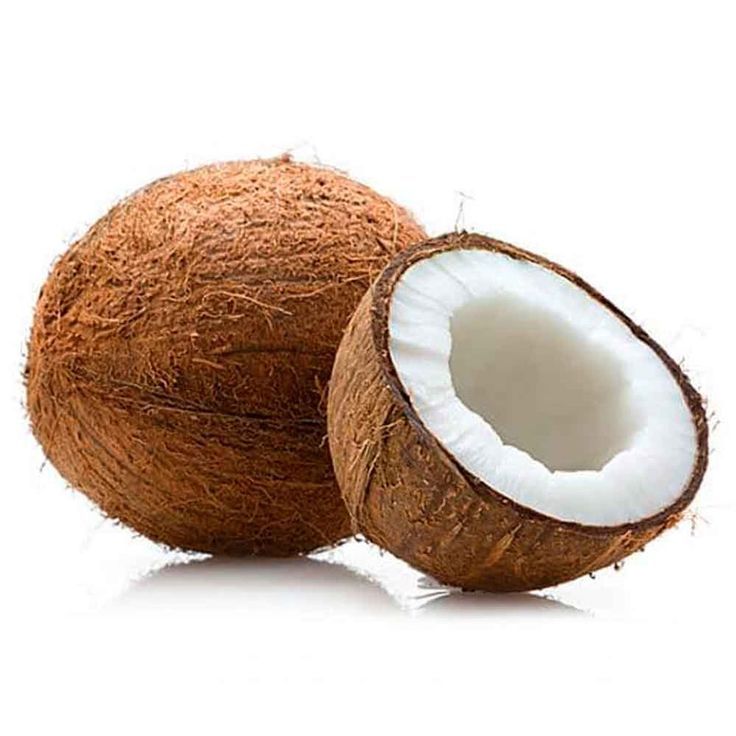 Coconut Supplier from India
