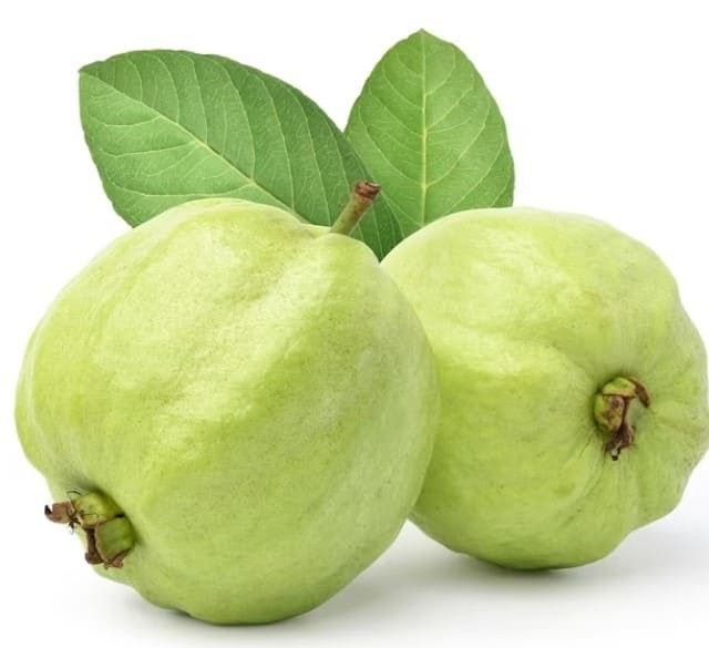 Guava Exporter from India