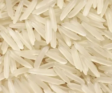 best rice exporter from india