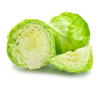Cabbage (White) supplier from india