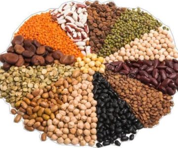 Grains and millets exporter Grains and millets exporter