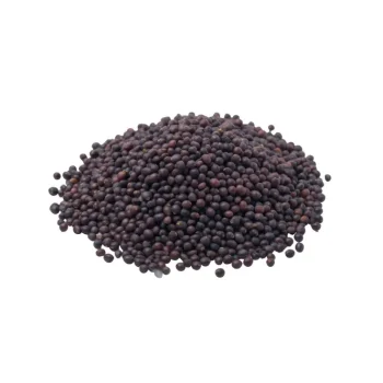 Mustard seed supplier from india
