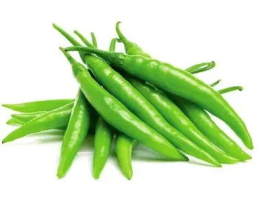 GREEN CHILLI exporter from india