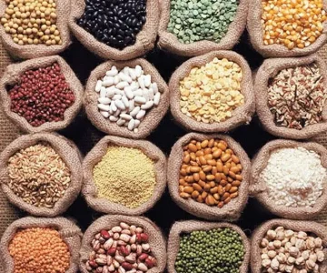 Grains and Millets exporters from india