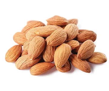 almonds supplier from india