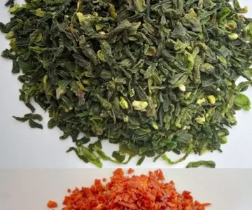 dehydrated vegetable exporters from india