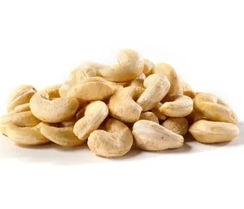 Cashews supplier from india