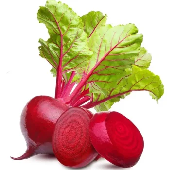 beetroot supplier from india