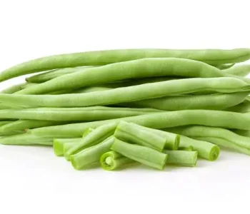 Green Beans supplier from india