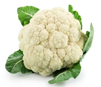 Cauliflower exporter from india