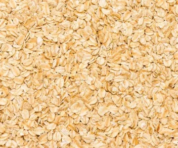 Oats exporter from india