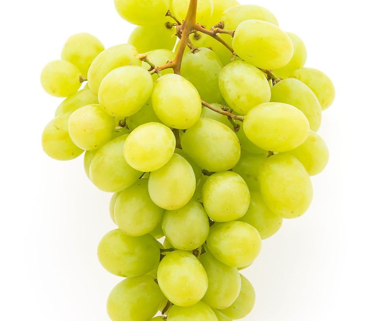 Green grape fruit isolated on white background