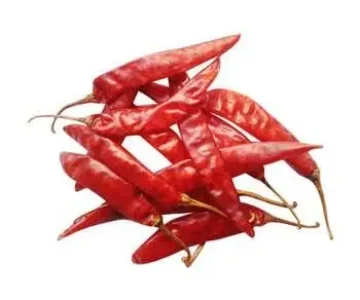 premium spices exporter from india