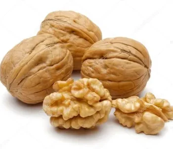 walnut supplier from india