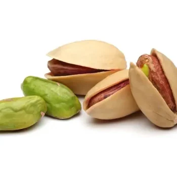 Pistachio exporter from india