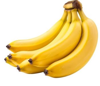 Fresh Cavendish bananas exporter from India