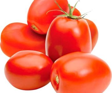 tomato supplier from india