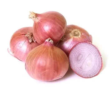 best onion supplier from india