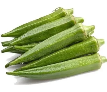 Okra (lady finger) supplier from india