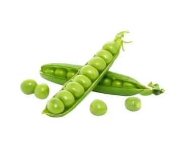 green Peas exporter from india