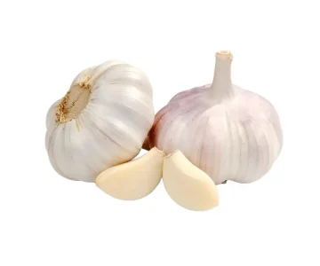 garlic exporter from india