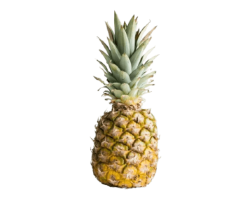 Fresh fruits supplier