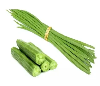 Drumstick, or Moringa exporter from india