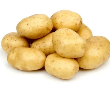 potato exporter from india