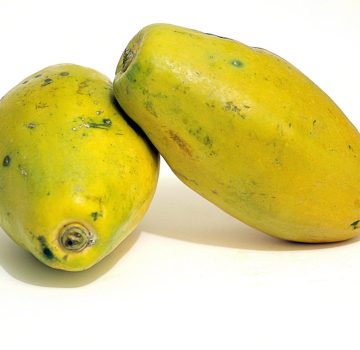 papaya exporter from india